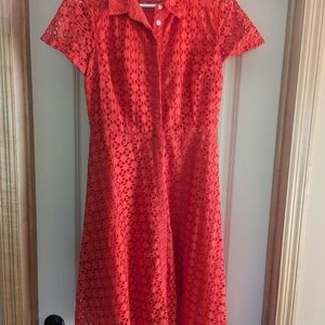 Standout Dress for Work or Fun